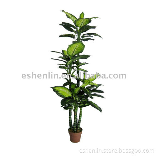 evergreen and durable artificial dieffenbachia tree